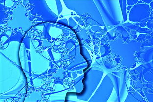 九游平台官网-中国足球不同战术体系试验数据，国足战术风格