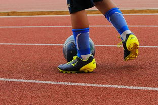 九游游戏在线玩-中国青少年篮球运动员体能素质发展规律，我国篮球青少年运动发展现状